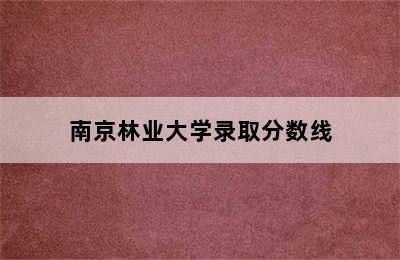 南京林业大学录取分数线