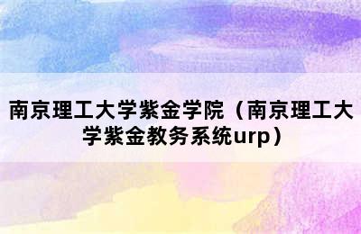 南京理工大学紫金学院（南京理工大学紫金教务系统urp）