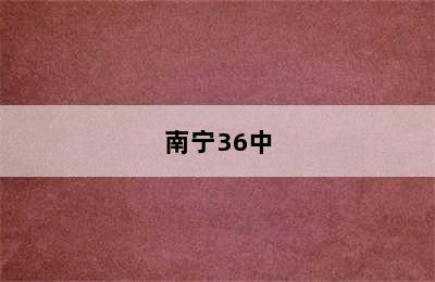 南宁36中