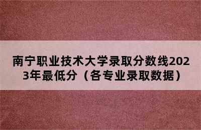 南宁职业技术大学录取分数线2023年最低分（各专业录取数据）