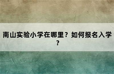 南山实验小学在哪里？如何报名入学？