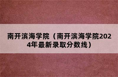 南开滨海学院（南开滨海学院2024年最新录取分数线）