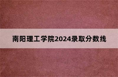 南阳理工学院2024录取分数线