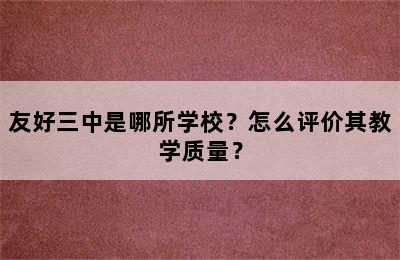 友好三中是哪所学校？怎么评价其教学质量？