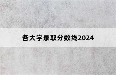 各大学录取分数线2024