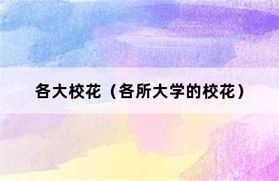 各大校花（各所大学的校花）