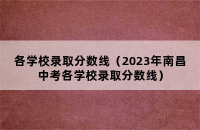 各学校录取分数线（2023年南昌中考各学校录取分数线）