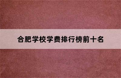 合肥学校学费排行榜前十名