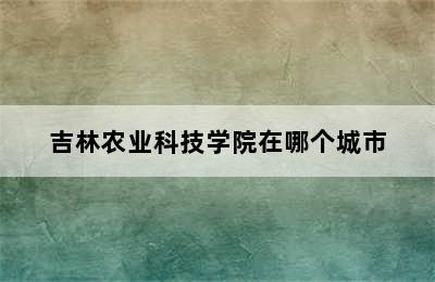 吉林农业科技学院在哪个城市