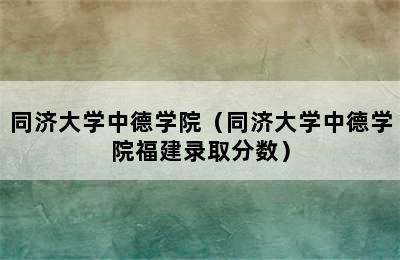 同济大学中德学院（同济大学中德学院福建录取分数）