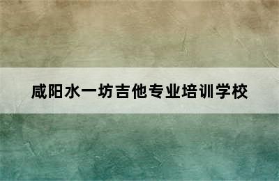 咸阳水一坊吉他专业培训学校