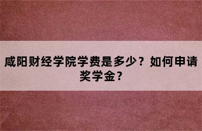 咸阳财经学院学费是多少？如何申请奖学金？