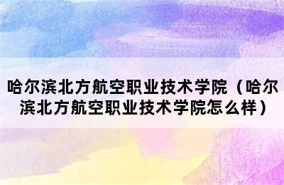 哈尔滨北方航空职业技术学院（哈尔滨北方航空职业技术学院怎么样）