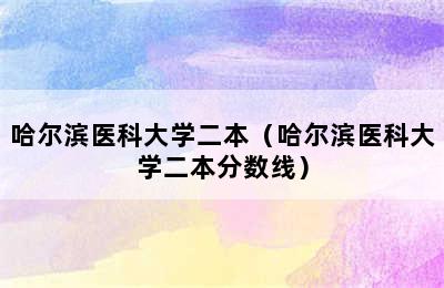 哈尔滨医科大学二本（哈尔滨医科大学二本分数线）