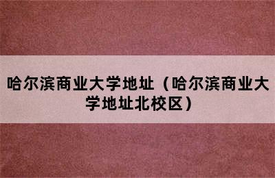 哈尔滨商业大学地址（哈尔滨商业大学地址北校区）