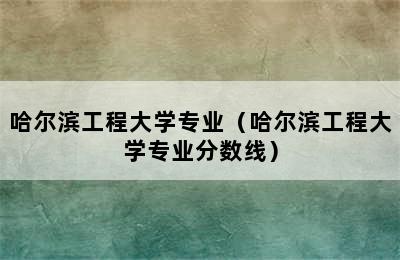 哈尔滨工程大学专业（哈尔滨工程大学专业分数线）