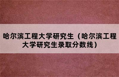 哈尔滨工程大学研究生（哈尔滨工程大学研究生录取分数线）