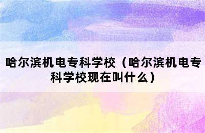 哈尔滨机电专科学校（哈尔滨机电专科学校现在叫什么）