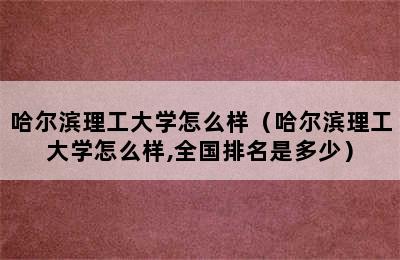 哈尔滨理工大学怎么样（哈尔滨理工大学怎么样,全国排名是多少）