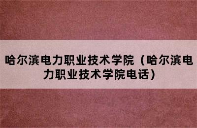 哈尔滨电力职业技术学院（哈尔滨电力职业技术学院电话）