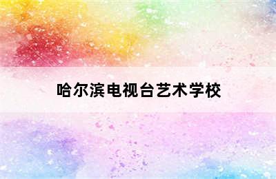 哈尔滨电视台艺术学校