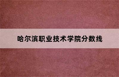 哈尔滨职业技术学院分数线