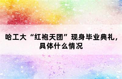 哈工大“红袍天团”现身毕业典礼，具体什么情况