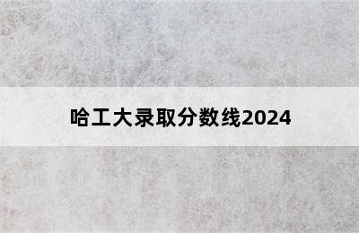 哈工大录取分数线2024