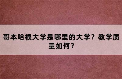 哥本哈根大学是哪里的大学？教学质量如何？