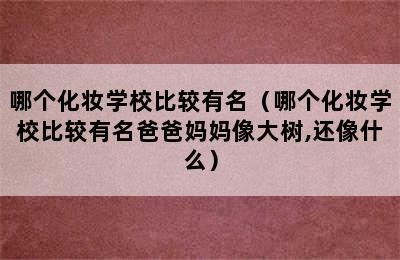 哪个化妆学校比较有名（哪个化妆学校比较有名爸爸妈妈像大树,还像什么）