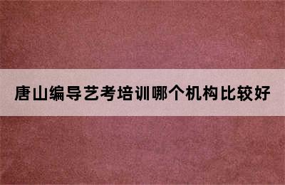 唐山编导艺考培训哪个机构比较好