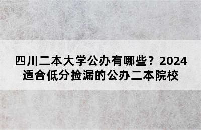 四川二本大学公办有哪些？2024适合低分捡漏的公办二本院校