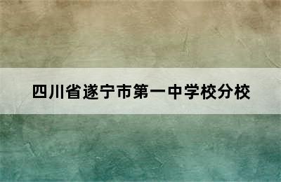 四川省遂宁市第一中学校分校