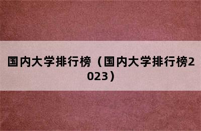 国内大学排行榜（国内大学排行榜2023）