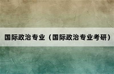 国际政治专业（国际政治专业考研）