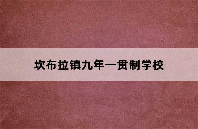 坎布拉镇九年一贯制学校