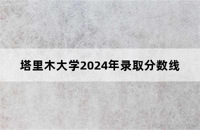 塔里木大学2024年录取分数线