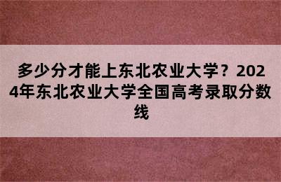 多少分才能上东北农业大学？2024年东北农业大学全国高考录取分数线