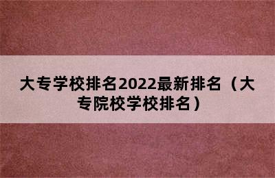 大专学校排名2022最新排名（大专院校学校排名）