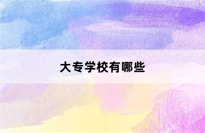 大专学校有哪些