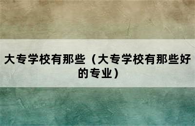 大专学校有那些（大专学校有那些好的专业）