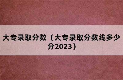 大专录取分数（大专录取分数线多少分2023）