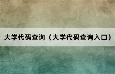 大学代码查询（大学代码查询入口）