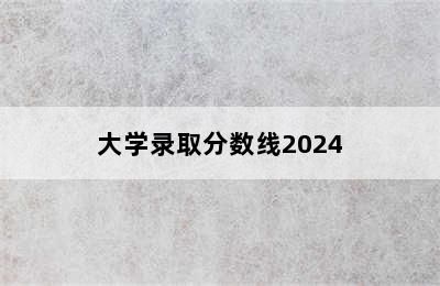 大学录取分数线2024