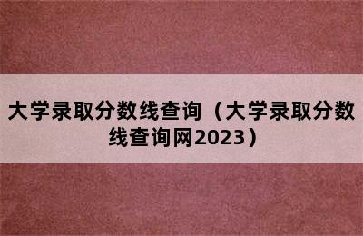 大学录取分数线查询（大学录取分数线查询网2023）