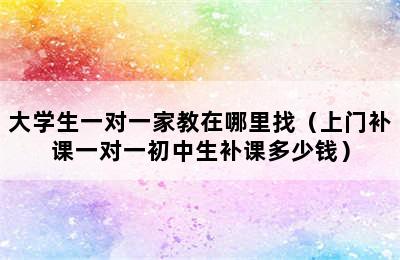 大学生一对一家教在哪里找（上门补课一对一初中生补课多少钱）