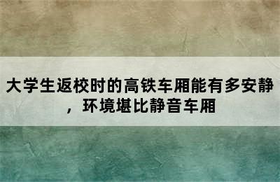 大学生返校时的高铁车厢能有多安静，环境堪比静音车厢