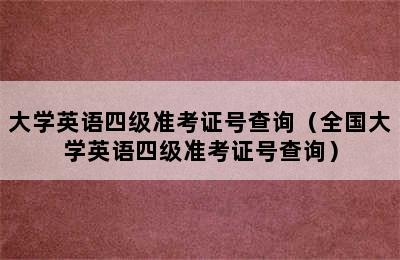 大学英语四级准考证号查询（全国大学英语四级准考证号查询）