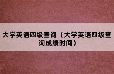 大学英语四级查询（大学英语四级查询成绩时间）