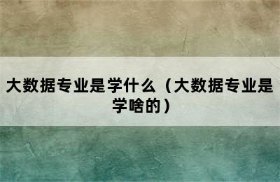 大数据专业是学什么（大数据专业是学啥的）